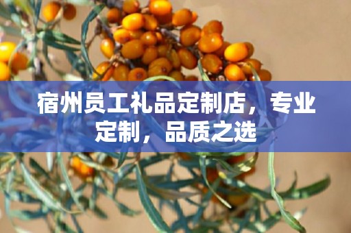宿州员工礼品定制店，专业定制，品质之选