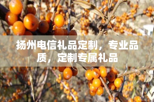 扬州电信礼品定制，专业品质，定制专属礼品