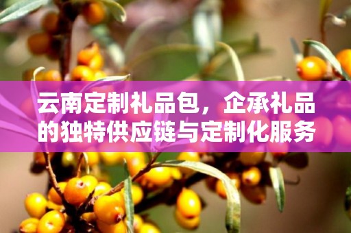 云南定制礼品包，企承礼品的独特供应链与定制化服务