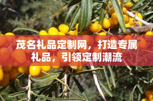 茂名礼品定制网，打造专属礼品，引领定制潮流