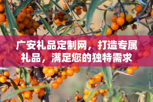 广安礼品定制网，打造专属礼品，满足您的独特需求