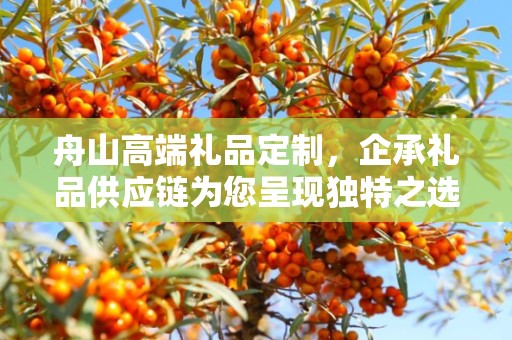 舟山高端礼品定制，企承礼品供应链为您呈现独特之选