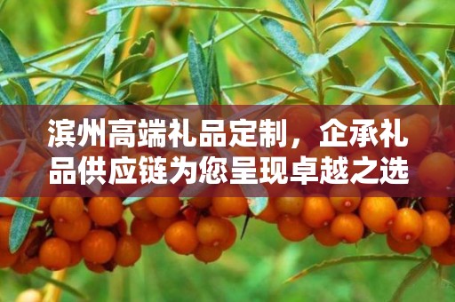 滨州高端礼品定制，企承礼品供应链为您呈现卓越之选
