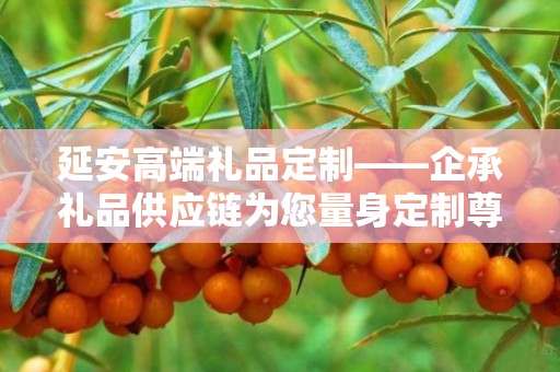 延安高端礼品定制——企承礼品供应链为您量身定制尊贵之选