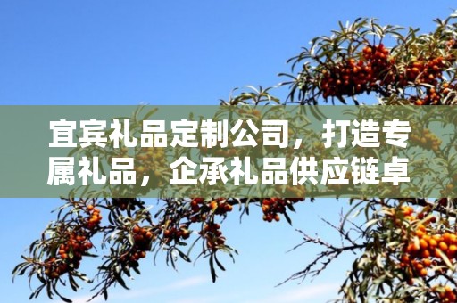 宜宾礼品定制公司，打造专属礼品，企承礼品供应链卓越服务