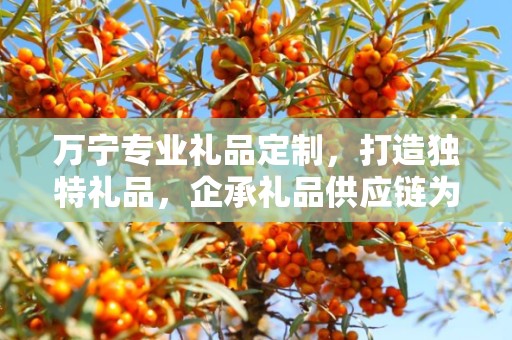 万宁专业礼品定制，打造独特礼品，企承礼品供应链为您助力