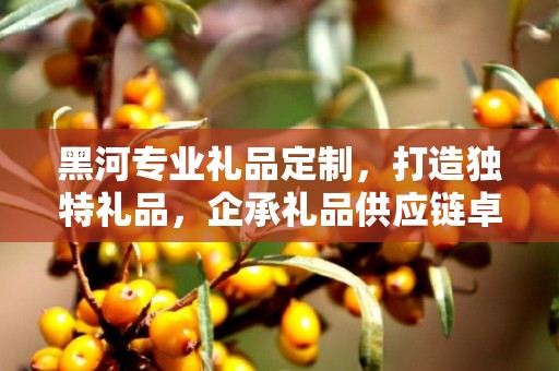 黑河专业礼品定制，打造独特礼品，企承礼品供应链卓越服务