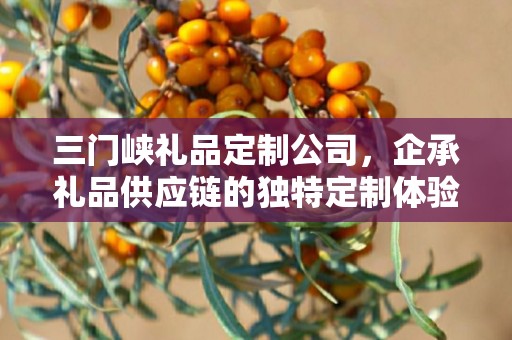 三门峡礼品定制公司，企承礼品供应链的独特定制体验