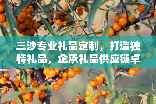 三沙专业礼品定制，打造独特礼品，企承礼品供应链卓越之选