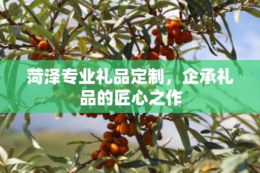 菏泽专业礼品定制，企承礼品的匠心之作