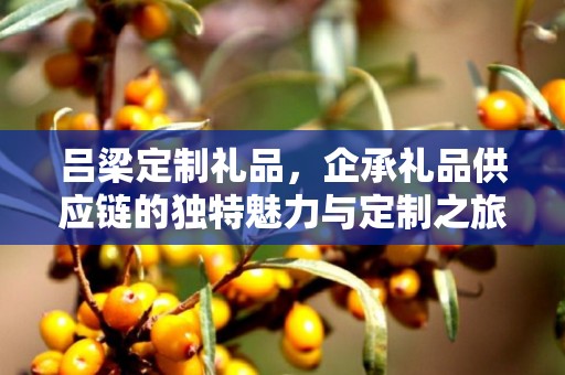 吕梁定制礼品，企承礼品供应链的独特魅力与定制之旅