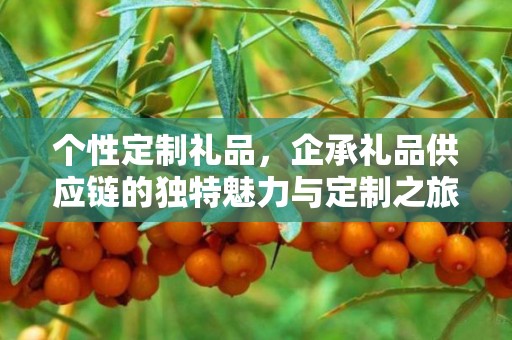 个性定制礼品，企承礼品供应链的独特魅力与定制之旅