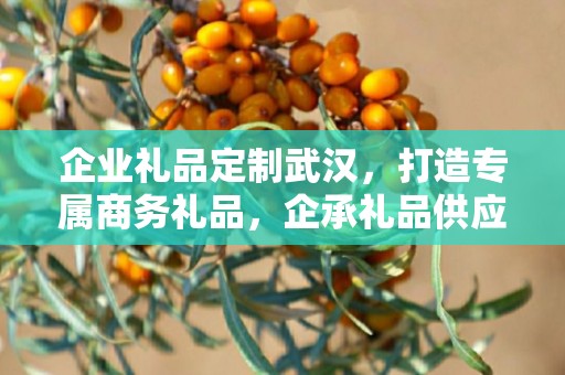 企业礼品定制武汉，打造专属商务礼品，企承礼品供应链助力企业共赢