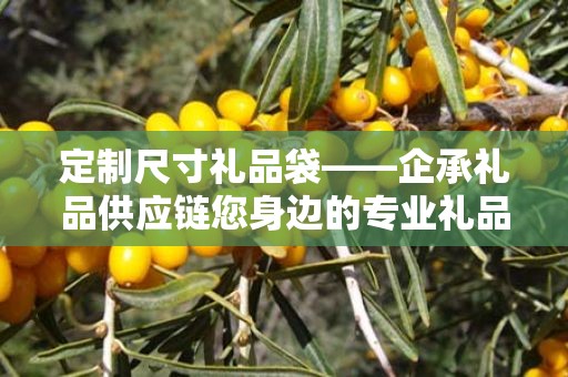 定制尺寸礼品袋——企承礼品供应链您身边的专业礼品定制公司