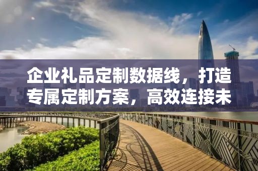 企业礼品定制数据线，打造专属定制方案，高效连接未来