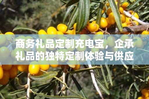 商务礼品定制充电宝，企承礼品的独特定制体验与供应链优势