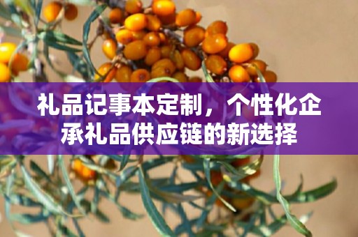 礼品记事本定制，个性化企承礼品供应链的新选择