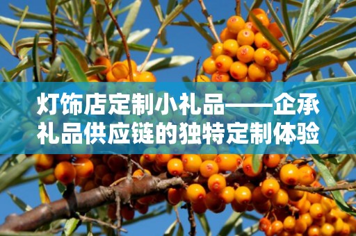 灯饰店定制小礼品——企承礼品供应链的独特定制体验