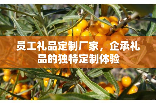 员工礼品定制厂家，企承礼品的独特定制体验